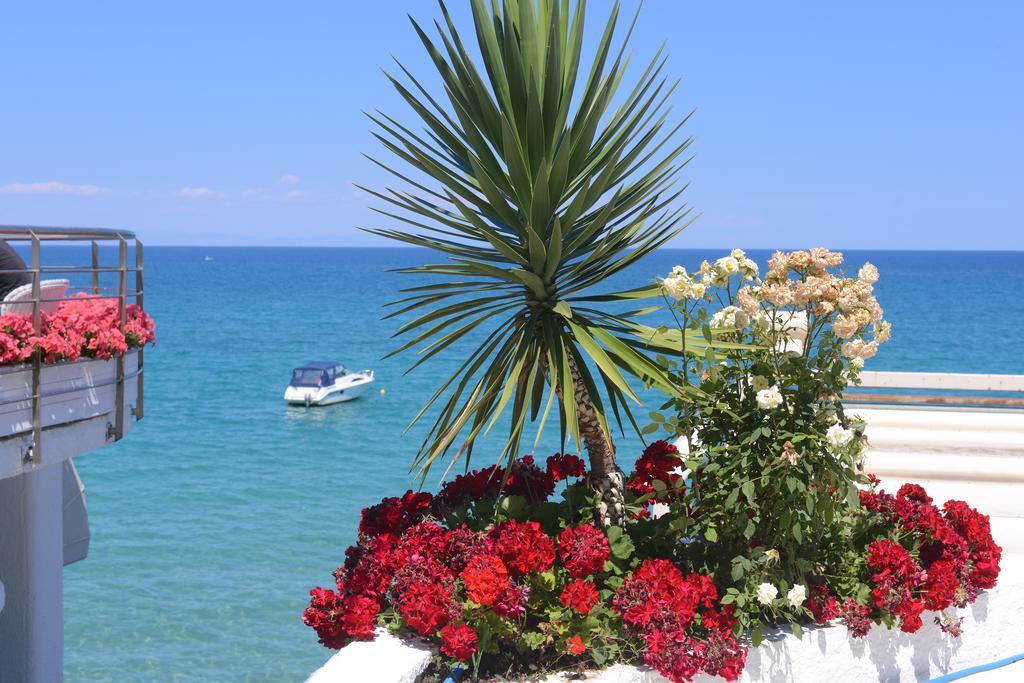 Olympos Beach Plaka Litochoro Dış mekan fotoğraf