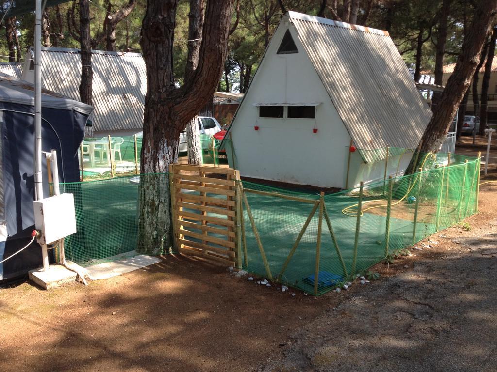 Olympos Beach Plaka Litochoro Dış mekan fotoğraf