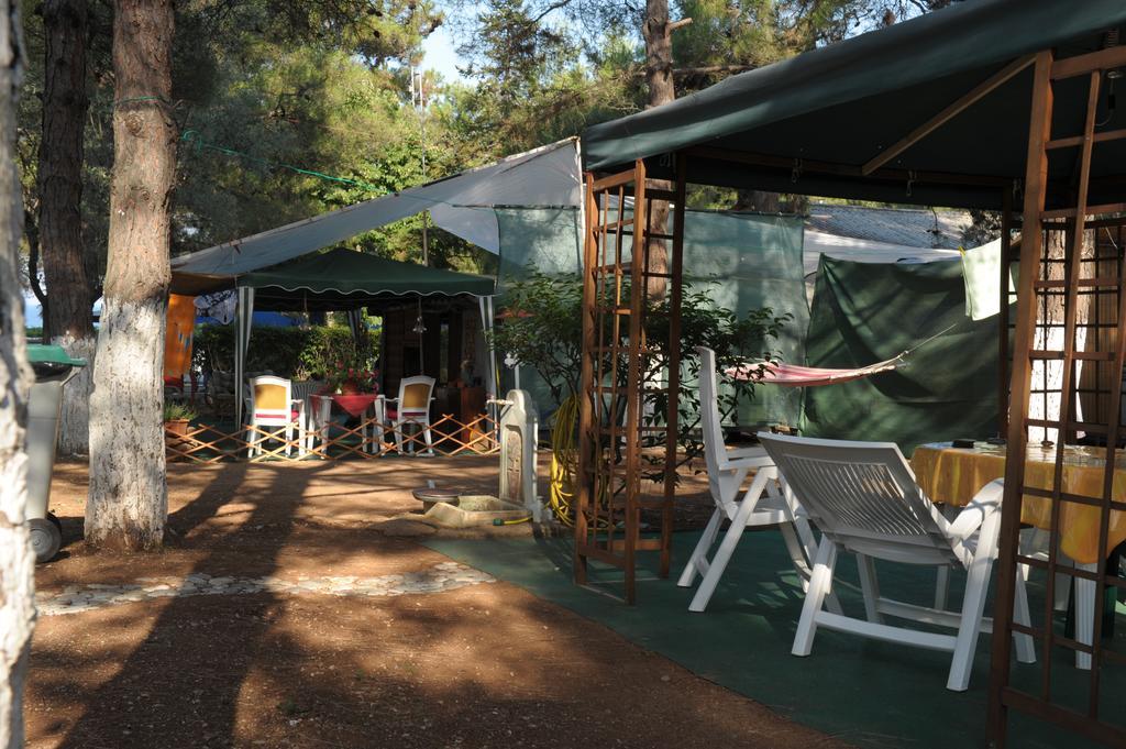 Olympos Beach Plaka Litochoro Dış mekan fotoğraf